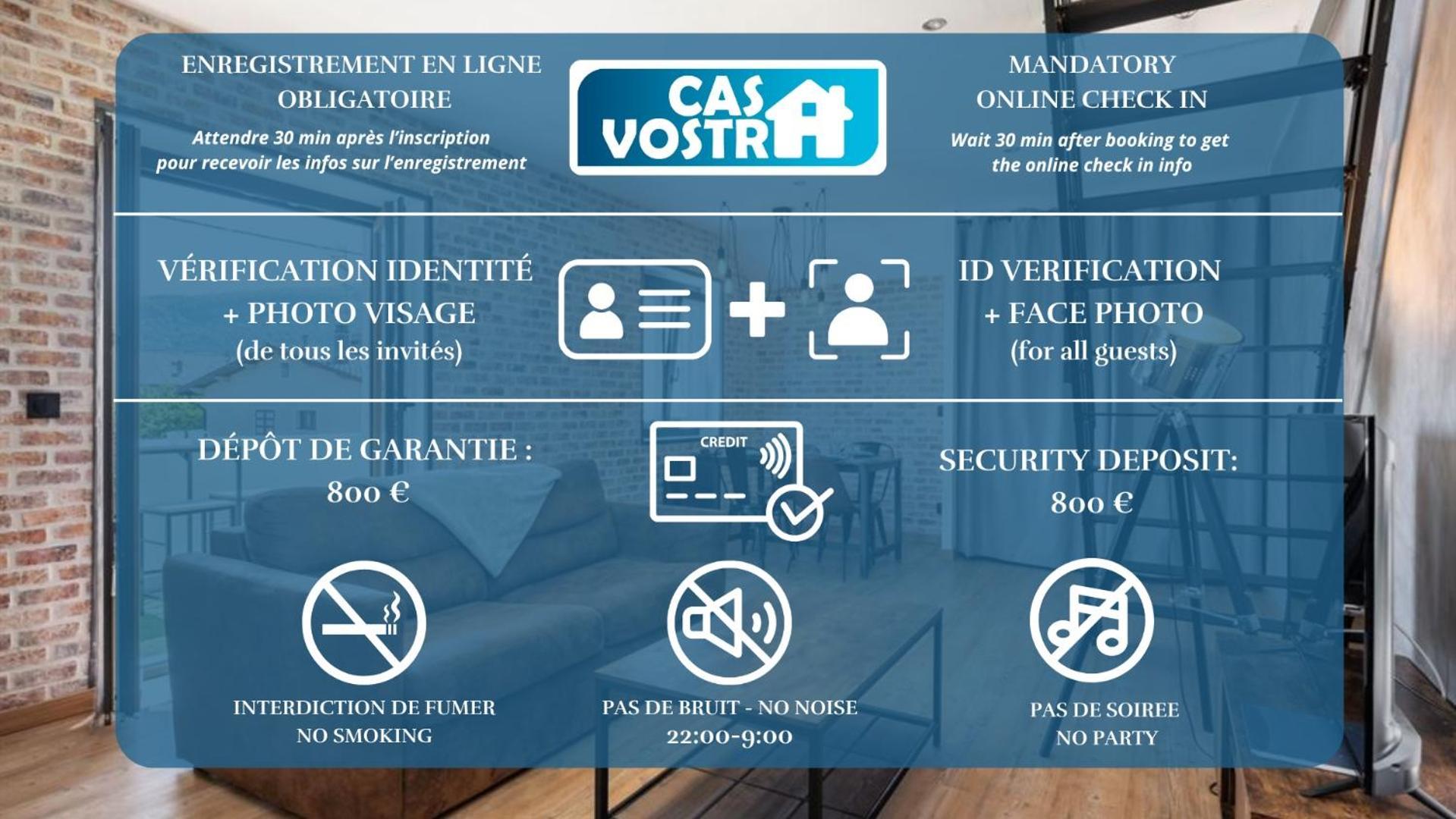 Апартаменты Superbe Loft Industriel - Casa Vostra - Caution 800 Eur & Id Requises - Gaillard Tram-Frontiere Экстерьер фото